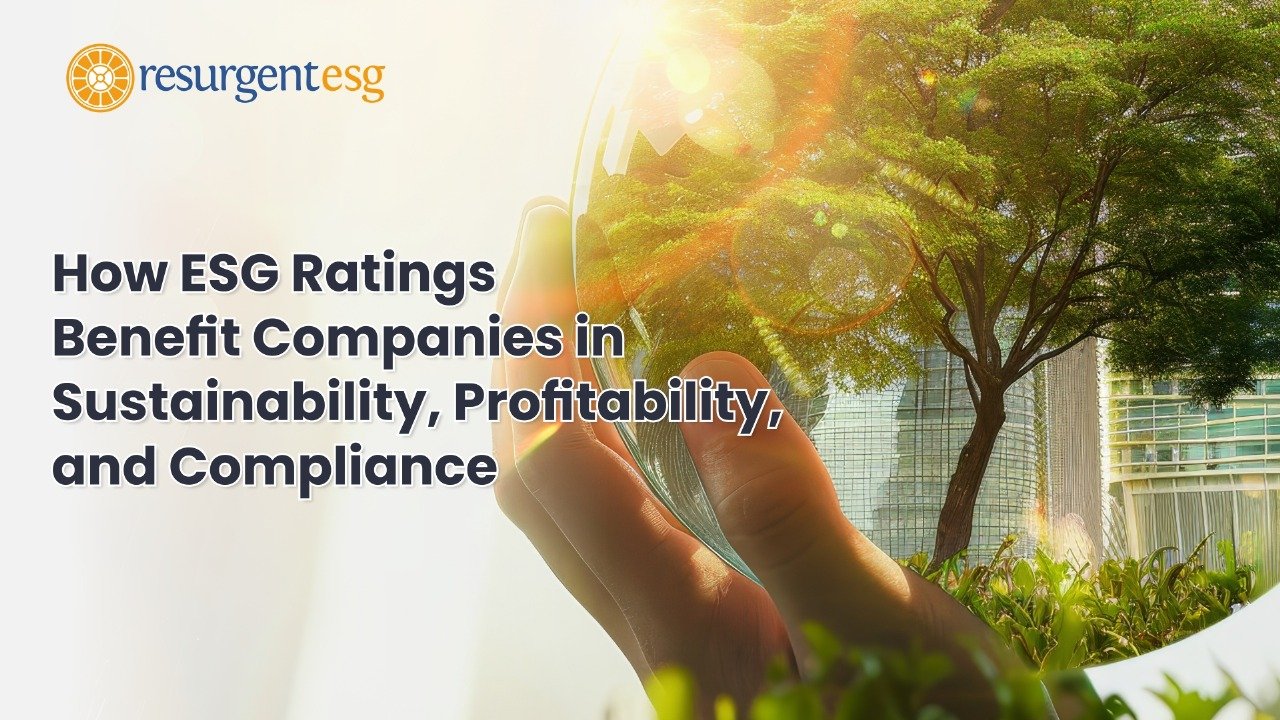 How ESG Ratings Benefit Companies in Sustainability, Profitability, and Compliance